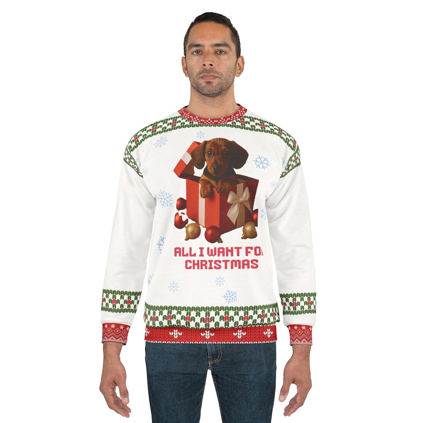 Dachshund “All I Want for Christmas” Holiday Sweater – Cute Puppy Gift Sweatshirt